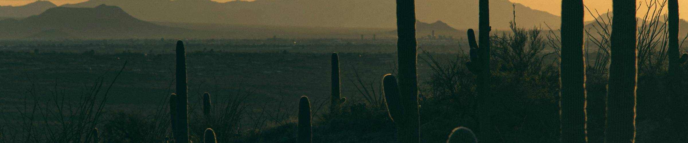 Arizona desert landscape with saguaro cacti and distant mountains under sunrise sky