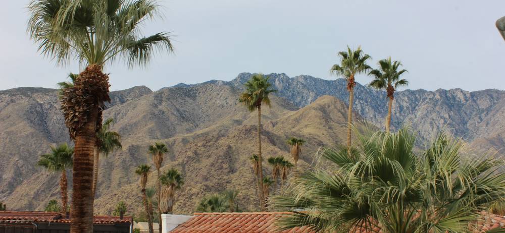 Rental home in Scottsdale Arizona with palm trees and mountains in background