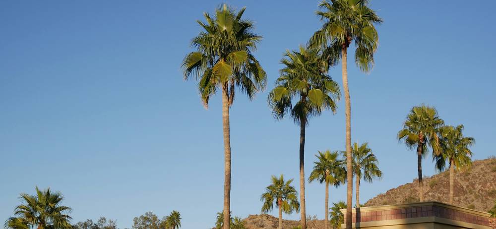 Rental home in Scottsdale Arizona with palm trees and mountains in background
